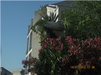 2b1ae6ac-More 2012 072.JPG